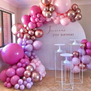 Balloon Arch Decorations -2